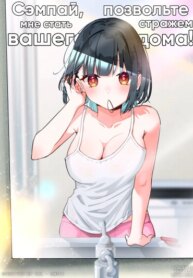 Cover 96331