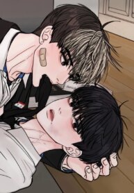 Cover 96378