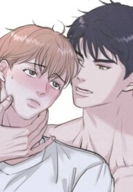 Cover 96382