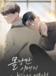 Cover 96386