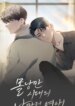 Cover 96386