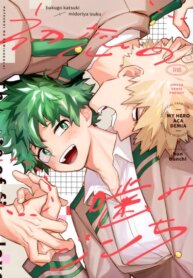 Cover 96388