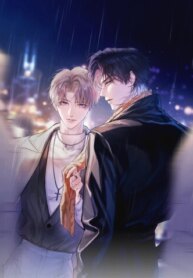 Cover 96398
