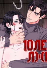 Cover 96406