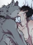 Cover 96407