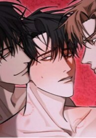 Cover 96416