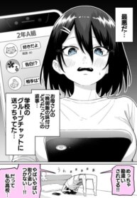 Cover 96436