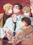 Cover 96438