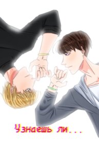 Cover 96450