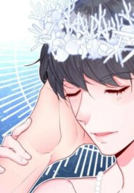 Cover 96504