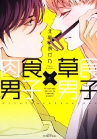 Cover 96532