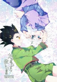 Cover 96546