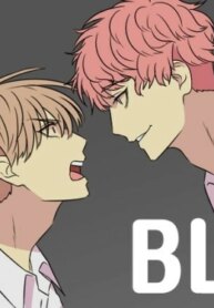 Cover 96562