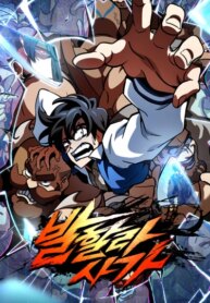 Cover 96581