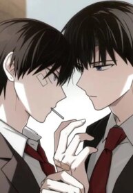 Cover 96741