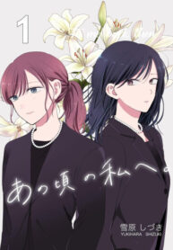 Cover 96745