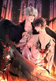 Cover 96780