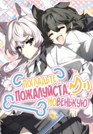 Cover 96804