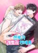 Cover 96808