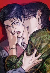 Cover 96811