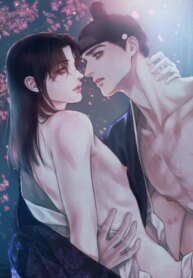 Cover 96815