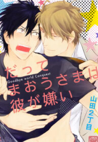 Cover 96881