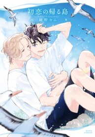 Cover 96906