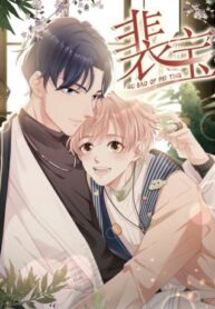 Cover 96956