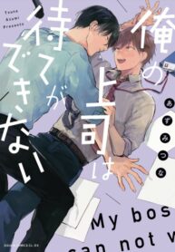 Cover 96966