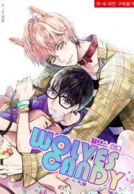 Cover 97016