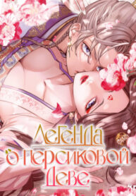 Cover 97075
