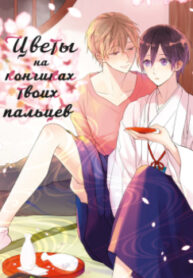 Cover 97164