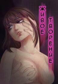 Cover 97281