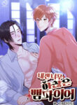 Cover 97357
