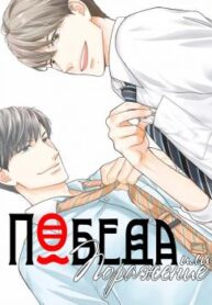 Cover 97536