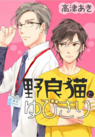 Cover 97550