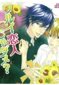 Cover 97578