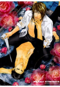 Cover 97605