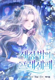 Cover 97842