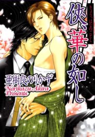 Cover 97966
