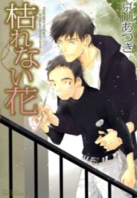 Cover 97971