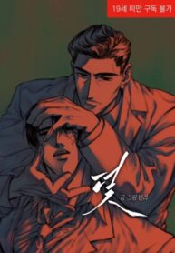 Cover 98054