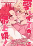 Cover 98116