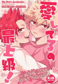 Cover 98116