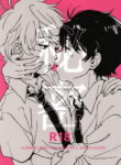 Cover 98161