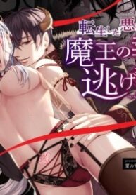 Cover 98411
