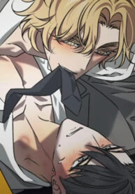 Cover 98433