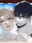 Cover 98443