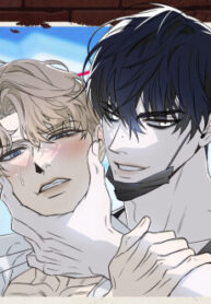 Cover 98443