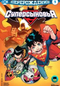 Cover 98539